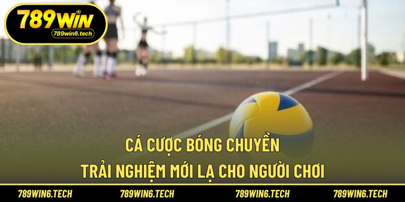 Cá cược bóng chuyền