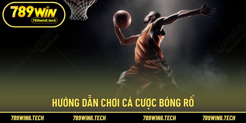 Các bước cơ bản giúp người mới dễ làm quen