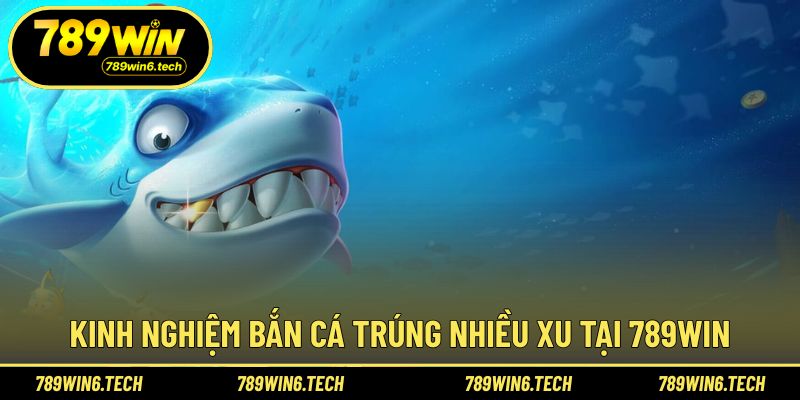 Chia sẻ kinh nghiệm săn cá thực tế từ cao thủ