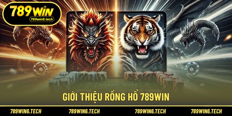 Khái quát cách vận hành trò rồng hổ trực tuyến