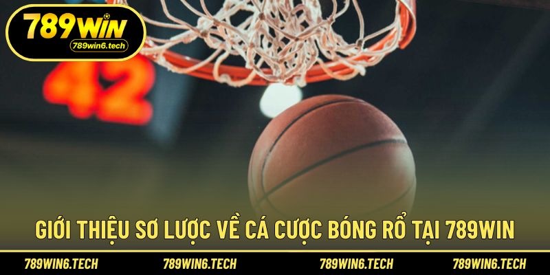 Khái quát hình thức cá cược bóng rổ trực tuyến hiện nay