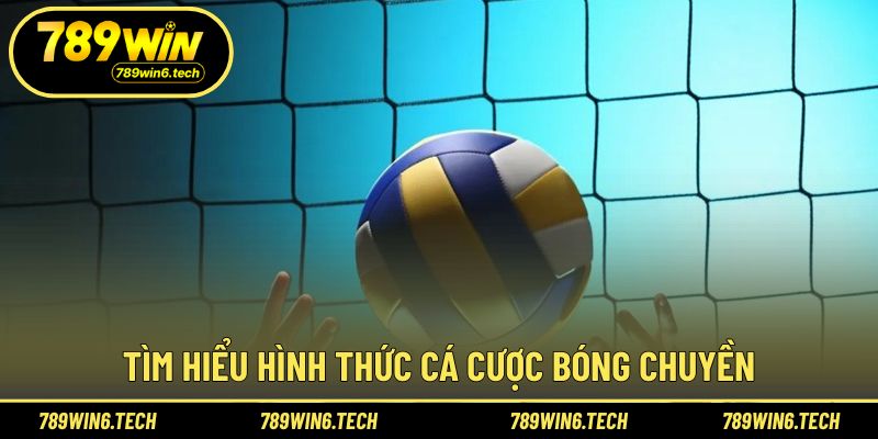 Khái quát hình thức tham gia bóng chuyền trực tuyến