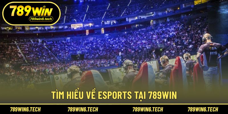 Khái quát hình thức thi đấu điện tử hiện đại