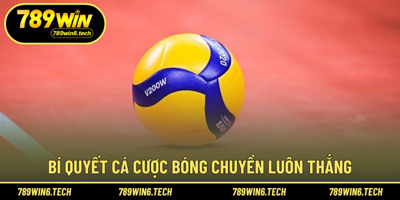 Kinh nghiệm thực tế giúp nâng cao hiệu quả lựa chọn