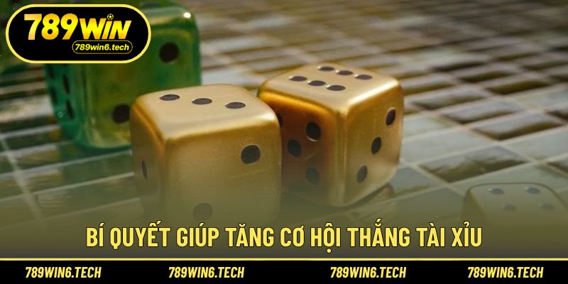 Kinh nghiệm thực tế giúp tham gia hiệu quả hơn