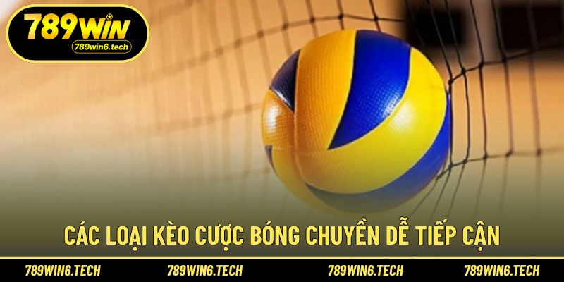 Những dạng kèo cá cược bóng chuyền nên ưu tiên lựa chọn